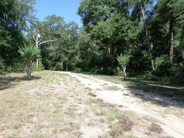 796 W LIGHTWOOD ST, Citrus Springs, FL 34434