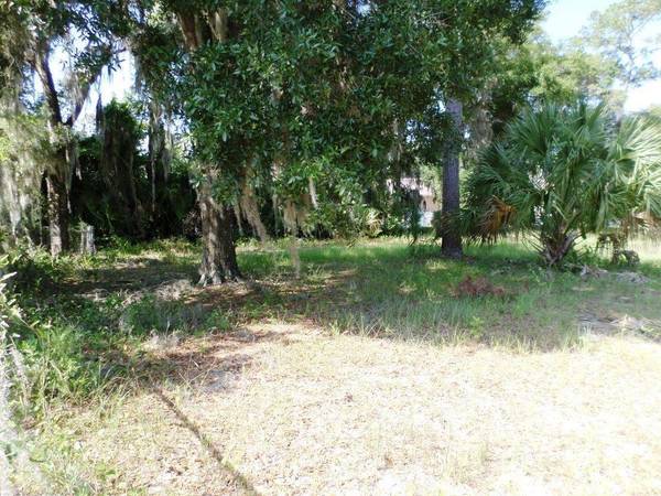 00 BLUE HERON CT, Dunnellon, FL 34432