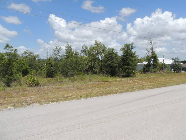 13591 NE 51ST LN, Williston, FL 32696