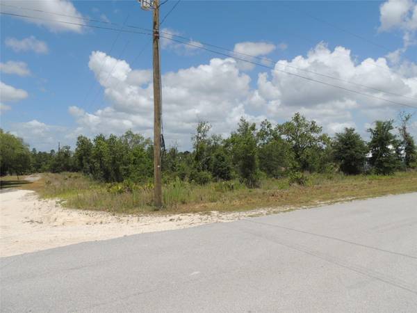 13591 NE 51ST LN, Williston, FL 32696