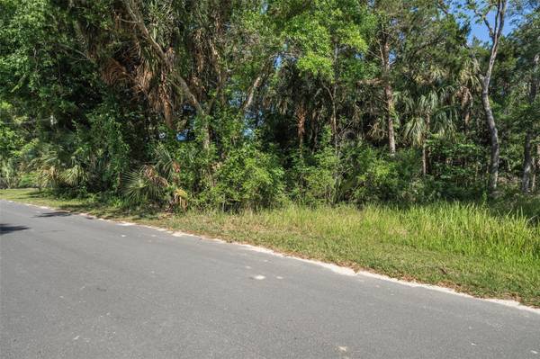 11681 W NORTH PL, Homosassa, FL 34448
