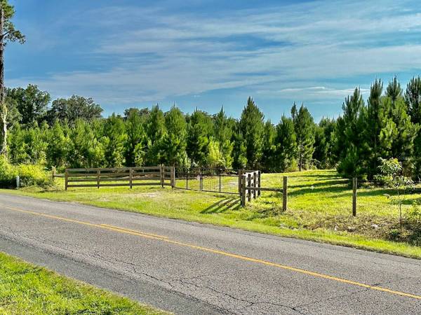 Parcel B NW 160TH AVE, Morriston, FL 32668