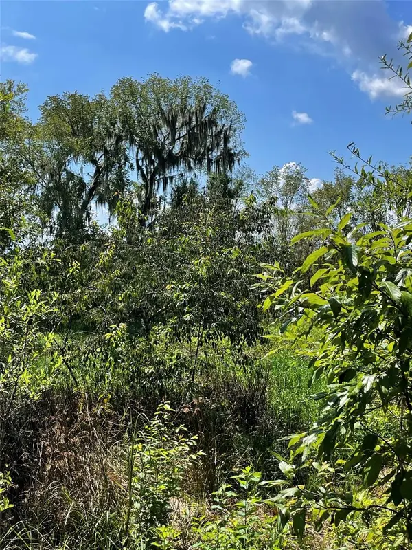 Parcel D NW 160TH AVE, Morriston, FL 32668