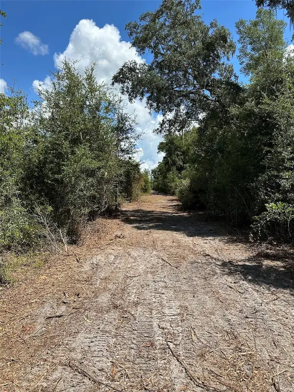 Parcel D NW 160TH AVE, Morriston, FL 32668