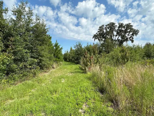 Address not disclosed, Morriston, FL 32668