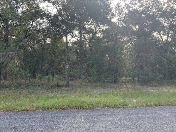 SE 139TH TER LOT 19, Morriston, FL 32668