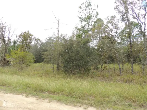 690 NE 135TH CT, Williston, FL 32696