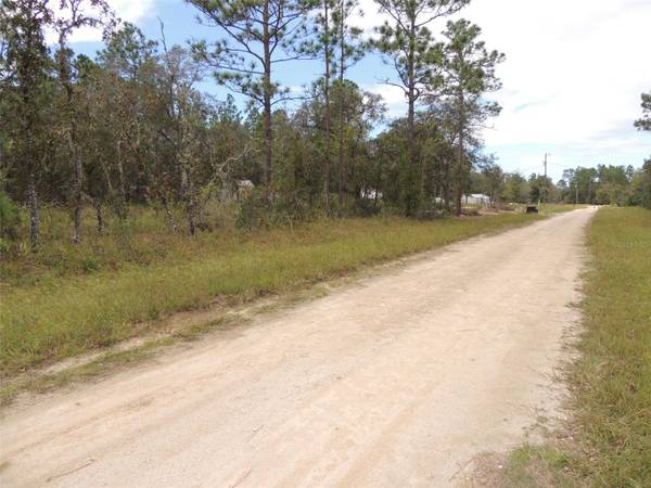 690 NE 135TH CT, Williston, FL 32696