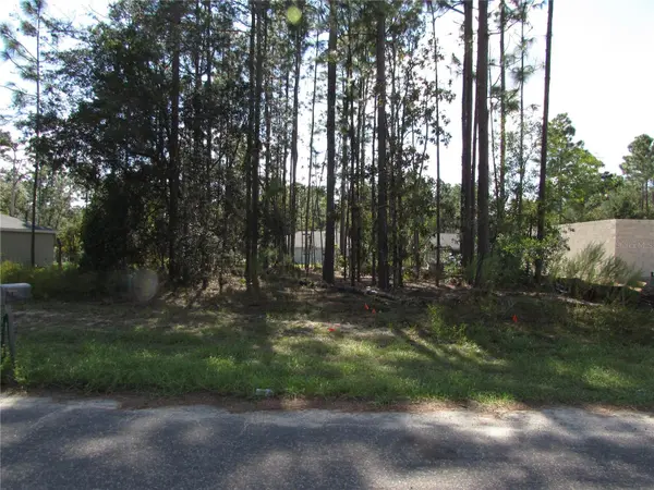 9250 N TRAVIS DR, Citrus Springs, FL 34434
