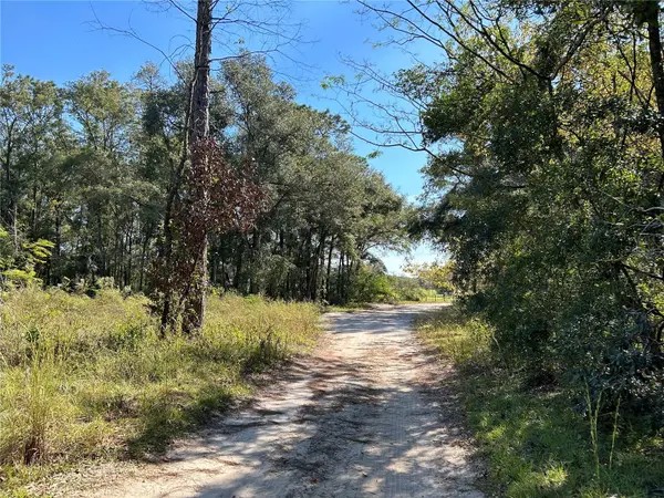 TBD NE 138TH TERR, Williston, FL 32696