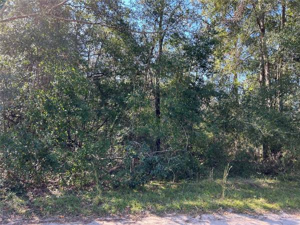 TBD NE 138TH TERR, Williston, FL 32696