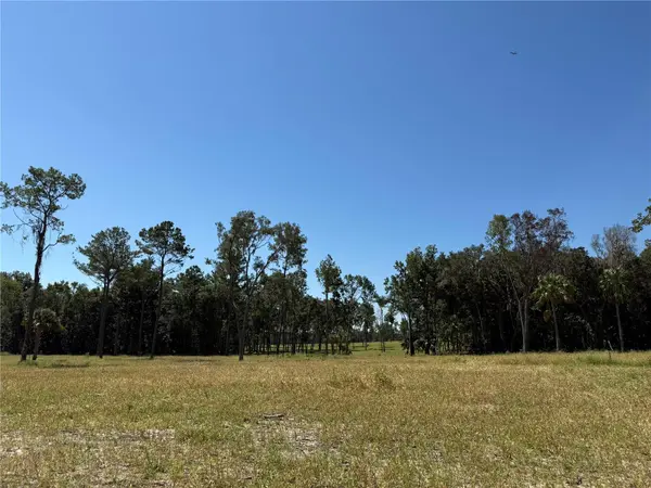 62ac NW 193RD ST, Micanopy, FL 32667