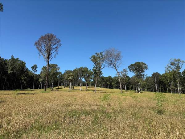 62ac NW 193RD ST, Micanopy, FL 32667