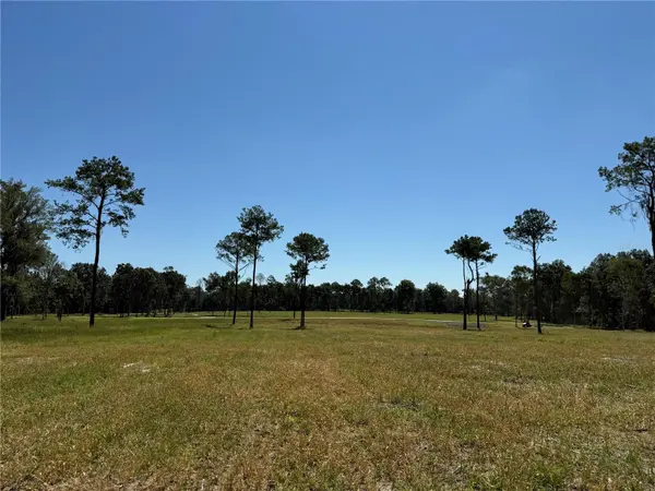 84ac NW 193RD ST, Micanopy, FL 32667