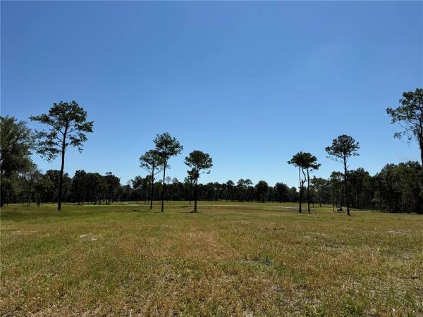 84ac NW 193RD ST, Micanopy, FL 32667