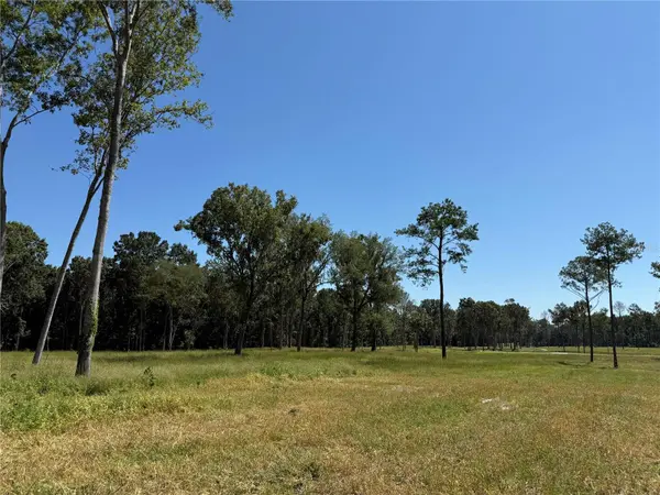 84ac NW 193RD ST, Micanopy, FL 32667