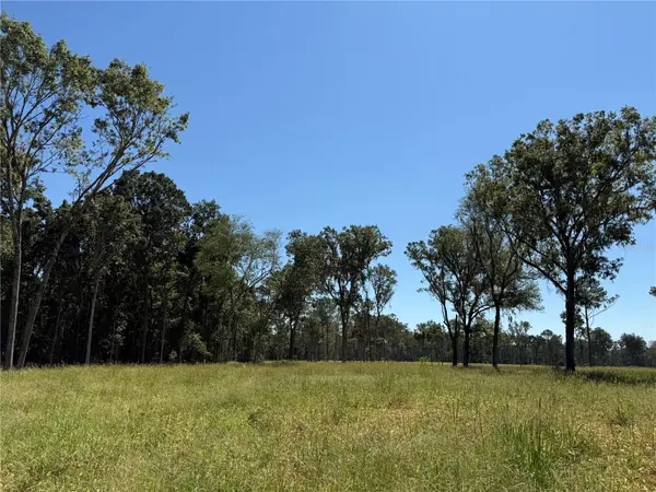 84ac NW 193RD ST, Micanopy, FL 32667