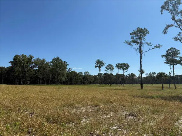 84ac NW 193RD ST, Micanopy, FL 32667