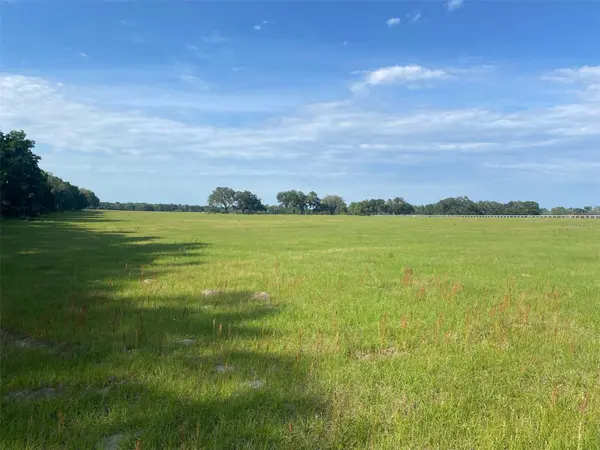 0 NW 163 TER, Morriston, FL 32668