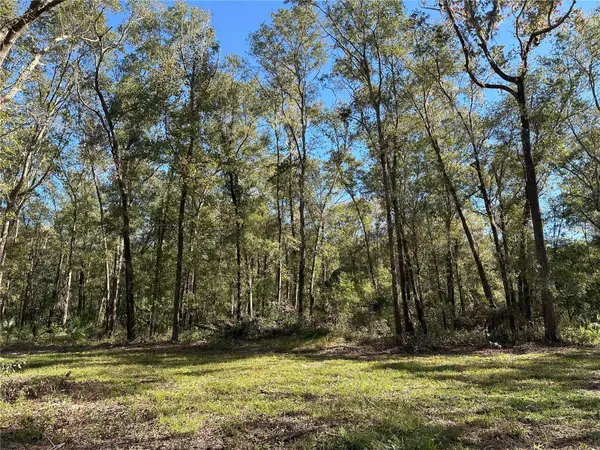 55ac W HWY 318, Reddick, FL 32686