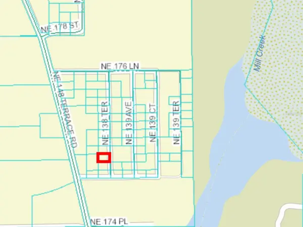 0 NE 138TH TER, Fort Mc Coy, FL 32134