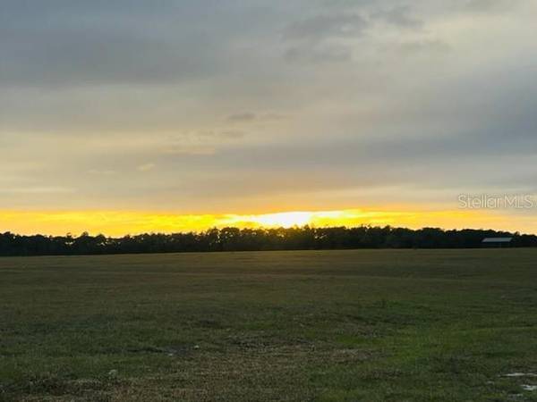 TBD SE 74TH LANE RD #8 & #9 West, Ocklawaha, FL 32179