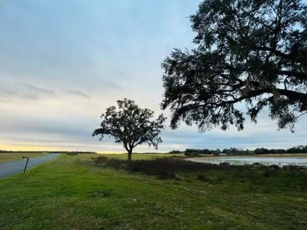TBD SE 74TH LANE RD #8 & #9 West, Ocklawaha, FL 32179