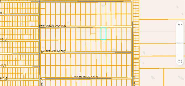 Lot 13 NW WATER OAK AVENUE, Dunnellon, FL 34431