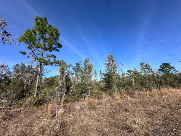 tbd NE 117TH TER, Williston, FL 32696