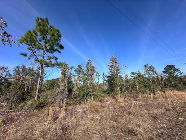 tbd NE 117TH TER, Williston, FL 32696