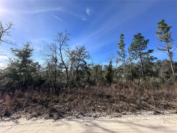 tbd NE 117TH TER, Williston, FL 32696
