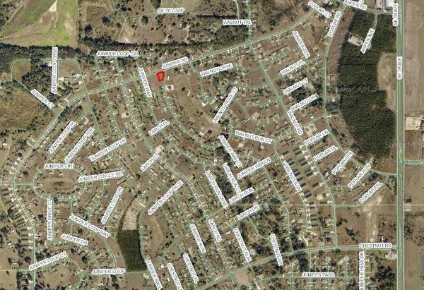 JUNIPER LOOP CIR, Ocala, FL 34472