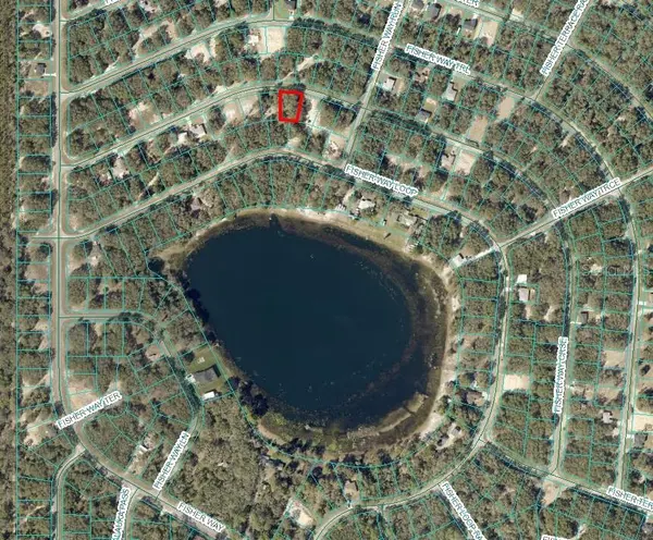 FISHER WAY COURSE, Ocklawaha, FL 32179