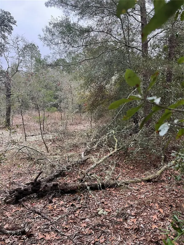 Lot 36 SW MONINES CT, Dunnellon, FL 34431