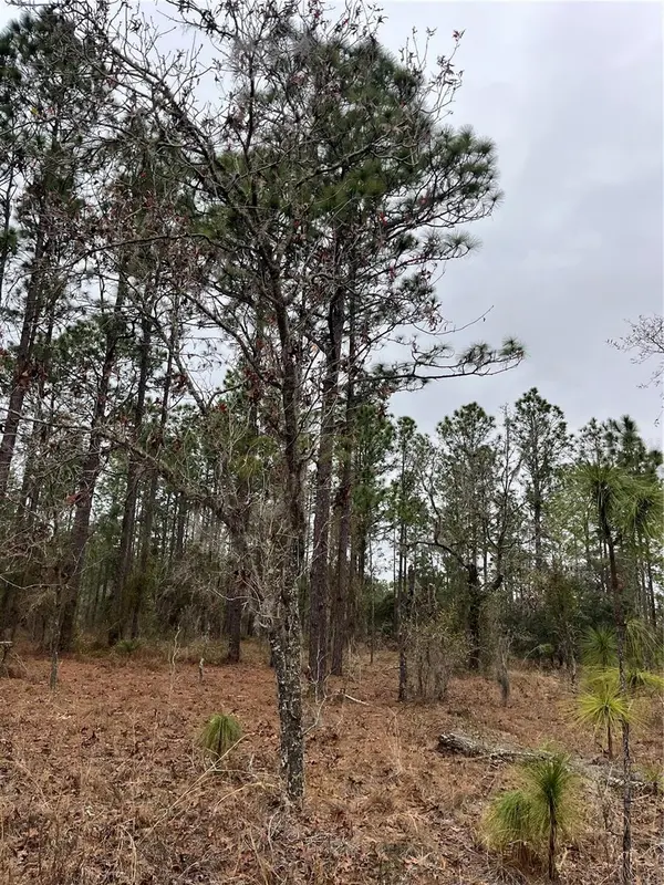 Lot 57 NW SKYLARK ST, Dunnellon, FL 34431