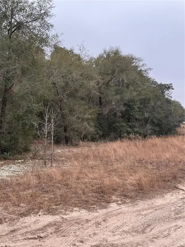 SE 100 ST, Ocala, FL 34472