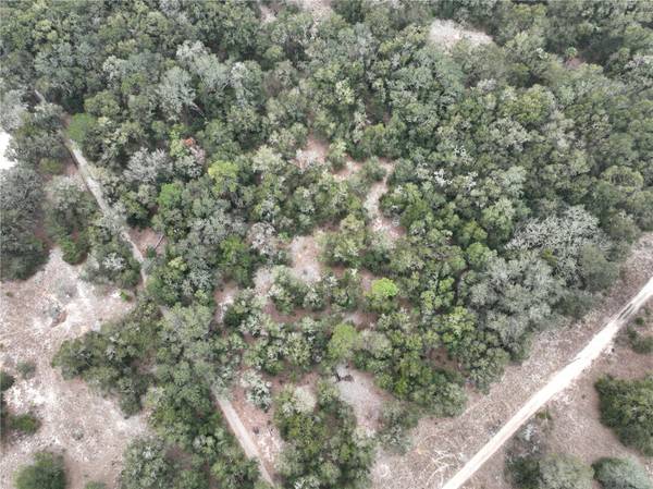 SE 100 ST, Ocala, FL 34472