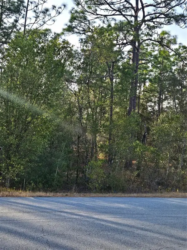 SW ADMIRAL LANDING DR., Dunnellon, FL 34431
