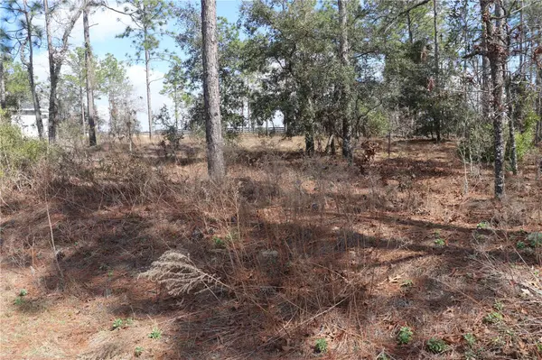 2251 NW BUENA VISTA RD, Dunnellon, FL 34431