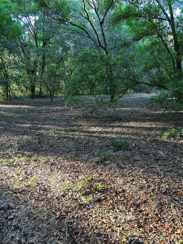 SW HWY 484, Dunnellon, FL 34432
