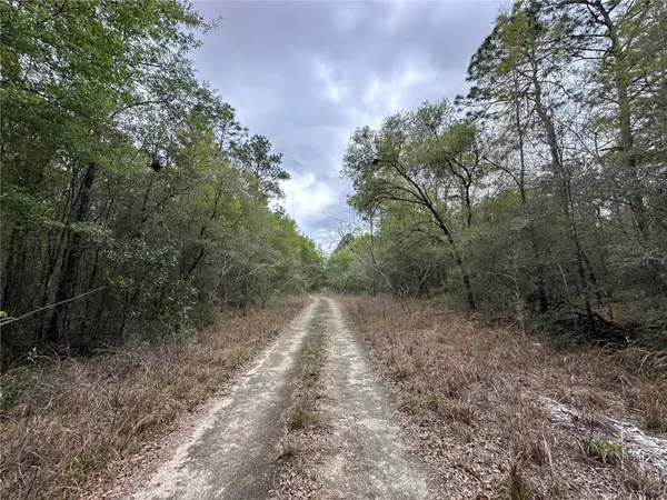 tbd NE 154TH AVE, Williston, FL 32696