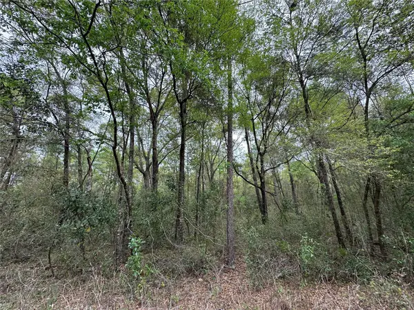 tbd NE 154TH AVE, Williston, FL 32696