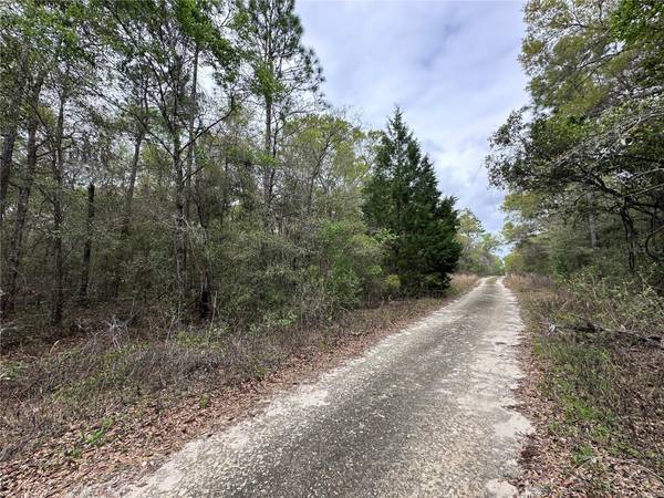 176 NE 155TH CT, Williston, FL 32696