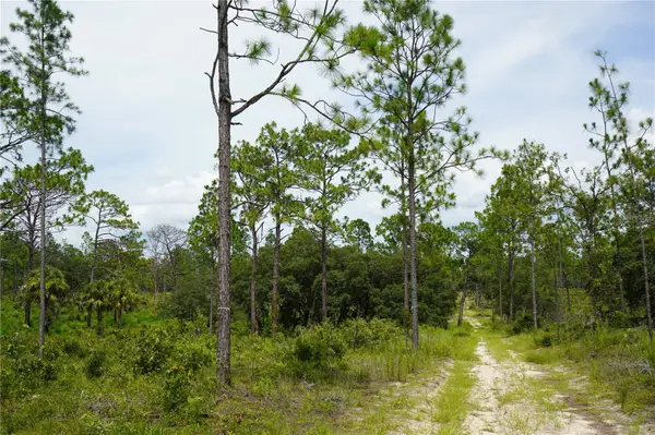 SE STATE ROAD 121 LOT A & B, Morriston, FL 32668