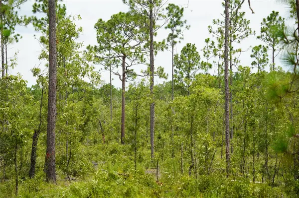SE STATE ROAD 121 LOT C & D, Morriston, FL 32668