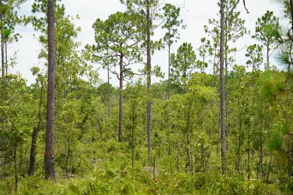 SE STATE ROAD 121 LOT C & D, Morriston, FL 32668