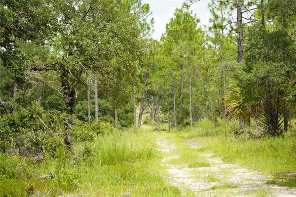 SE STATE ROAD 121 LOT C & D, Morriston, FL 32668