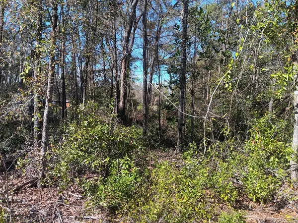 155 PALM DR, Bronson, FL 32621