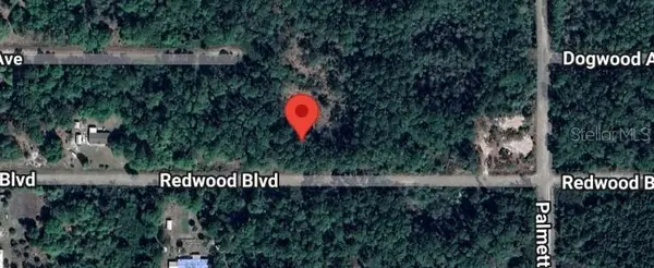 324 REDWOOD BLVD, Georgetown, FL 32139