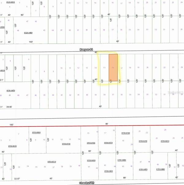 TBD BANYAN STREET, Interlachen, FL 32148